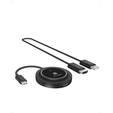 ICY BOX IB-WL101 (100W power 30m