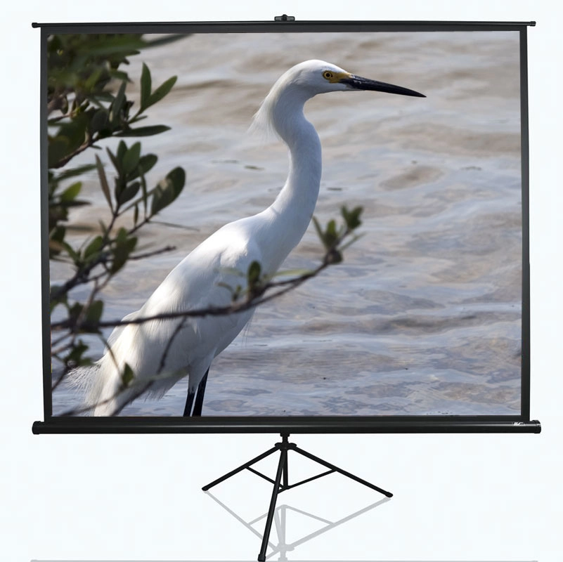 Elite Screens Tripod Series T100UWV1 Diagonal