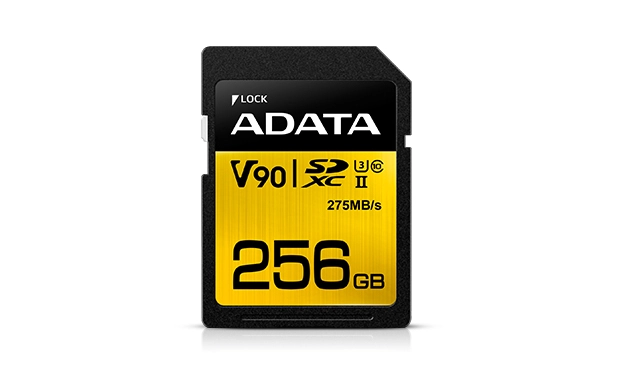 ADATA Premier ONE V90 256 GB