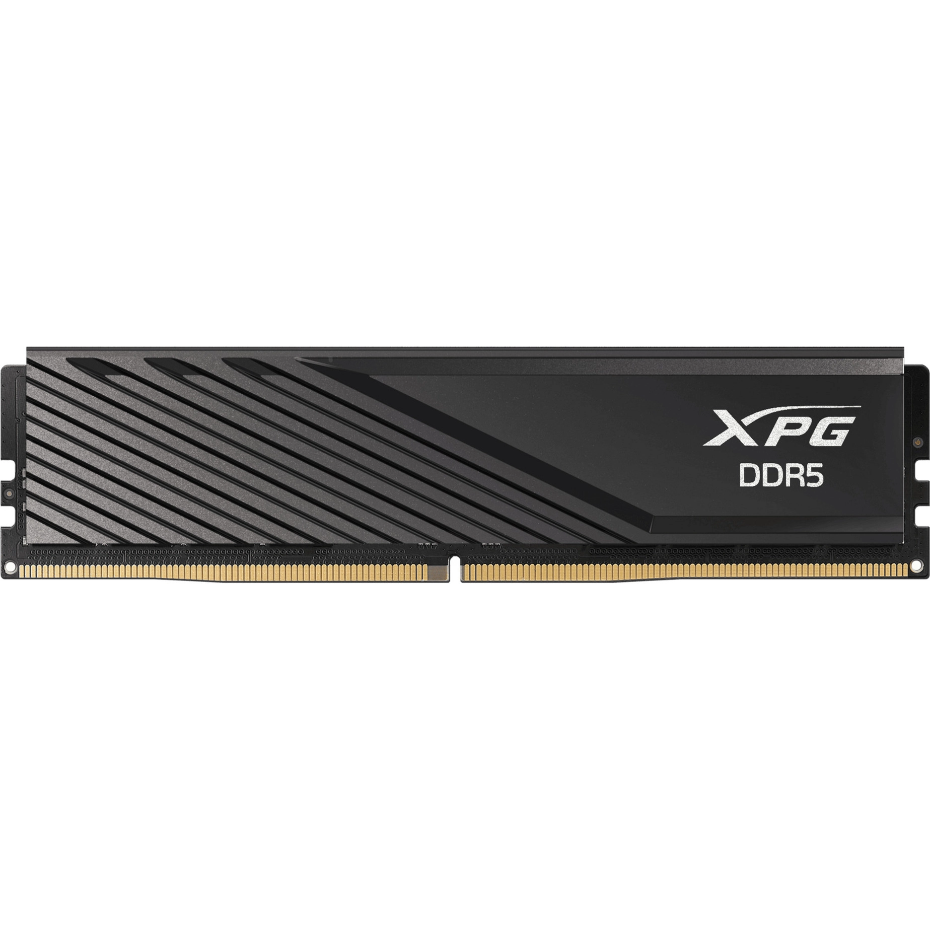 ADATA DIMM 16 GB DDR5-6000 (black