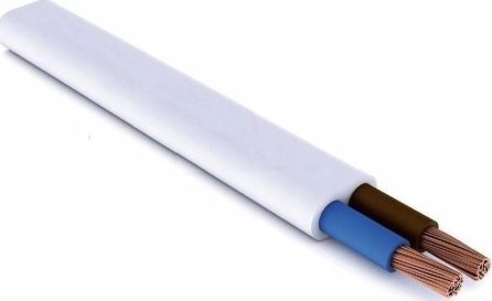 AKS Electric cable 2x1 10m OMYP