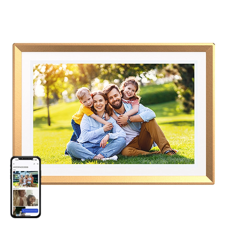 Arzopa D10 (gold) 10.1quot; digital
