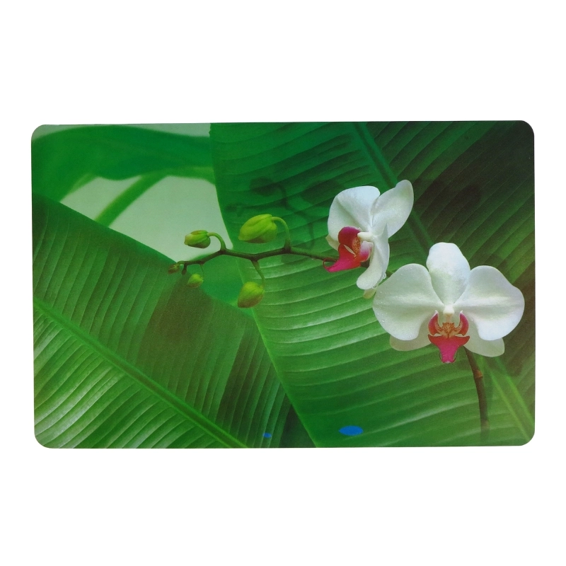 Table mat 43.5x28cm orchid 24666014
