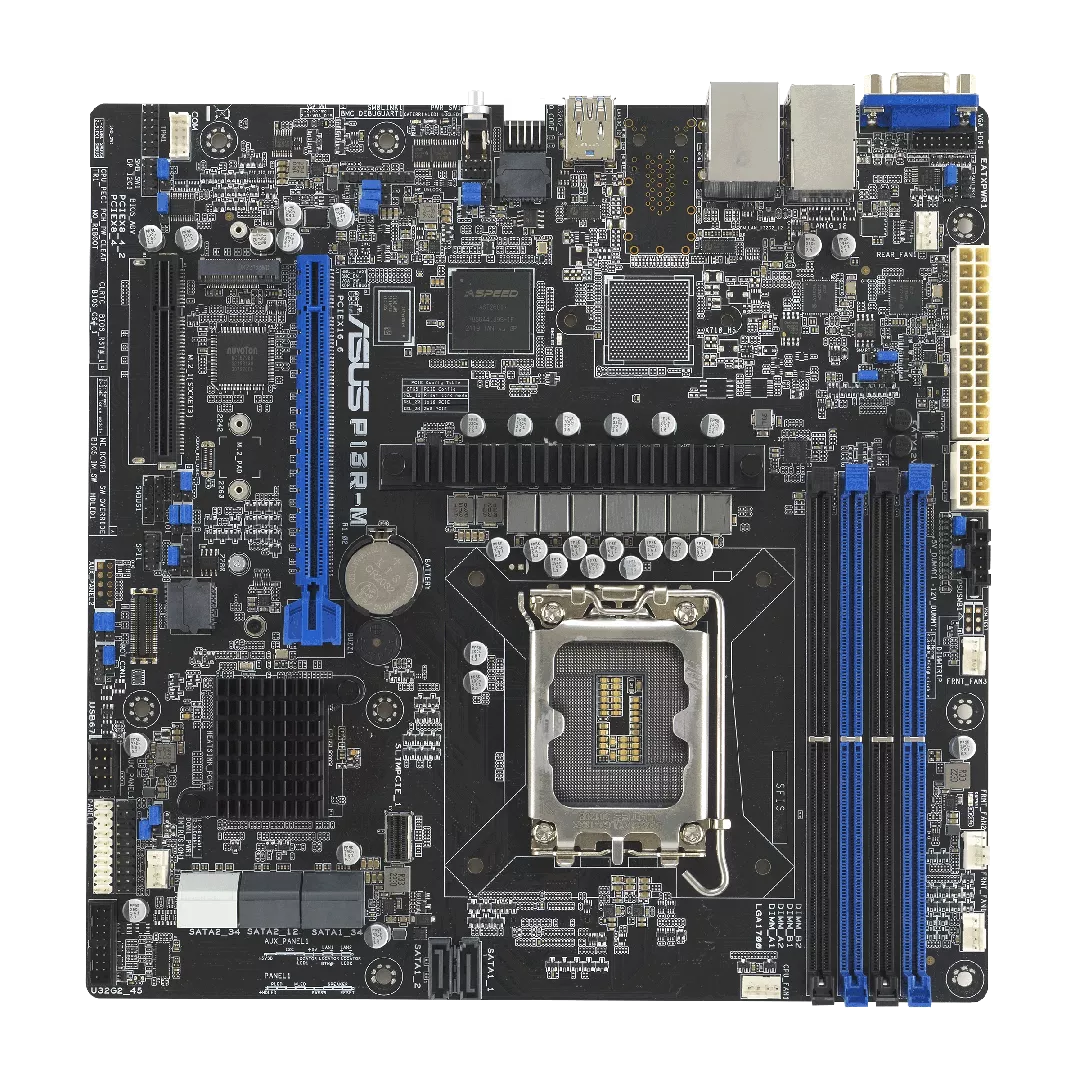 ASUS P13R-M Intel C262 LGA 1700 mikro ATX