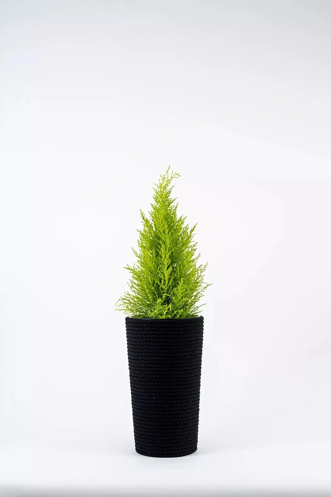 Adoni Black cotton flower pot with