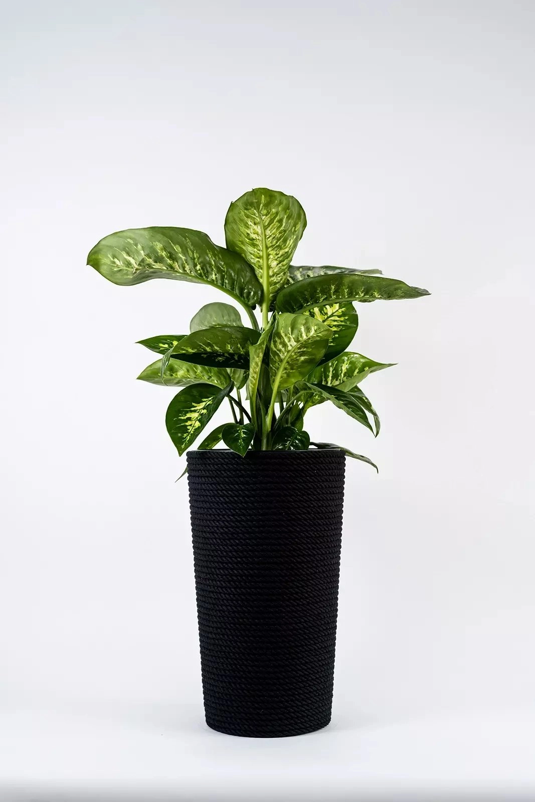 Adoni Black cotton flowerpot with insert