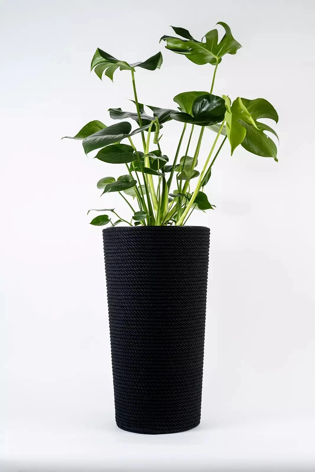 Adoni Black cotton flower pot with