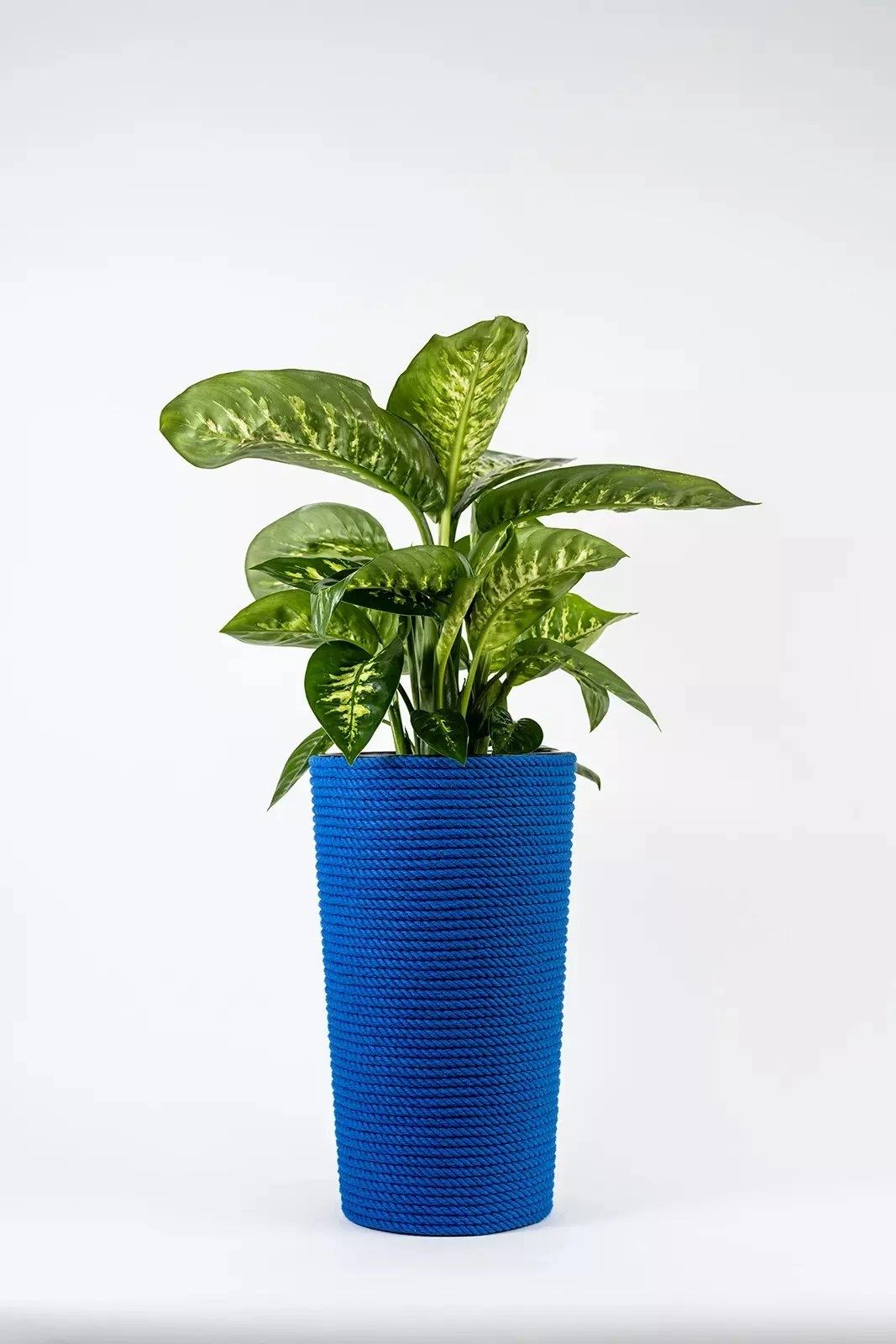 Adoni Blue cotton flowerpot with insert