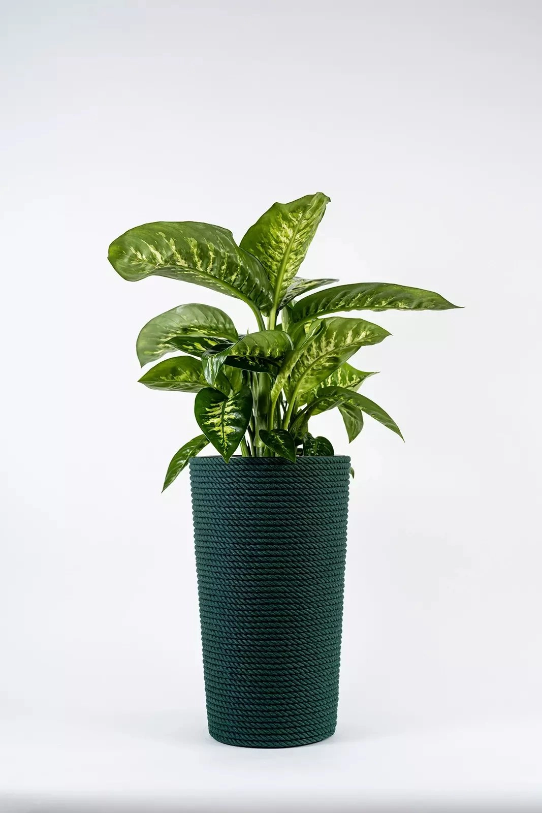 Adoni Green cotton flowerpot with insert
