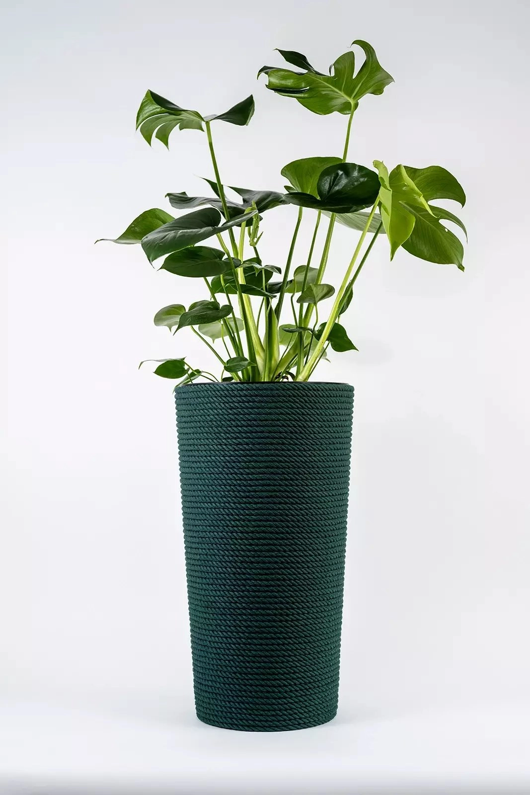 Adoni Green cotton flower pot with