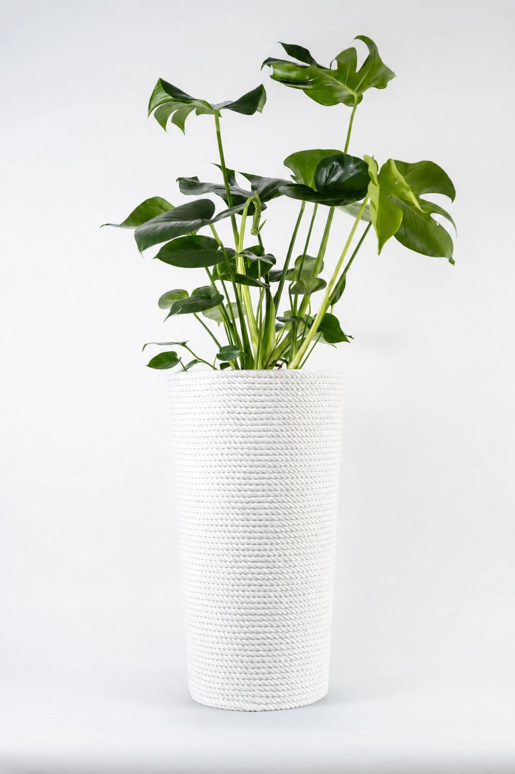 Adoni White cotton flower pot with