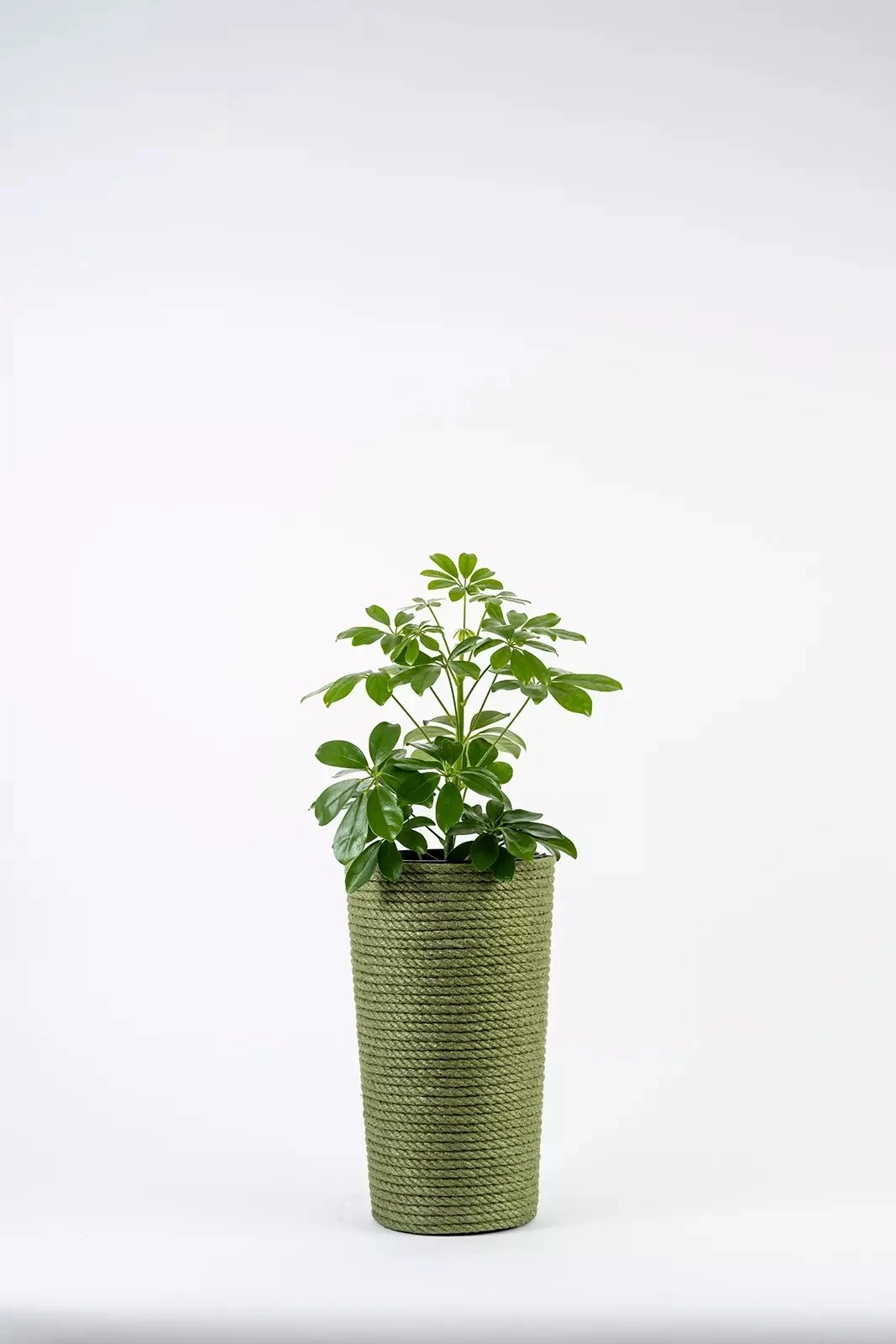 Adoni Green jute flowerpot with insert