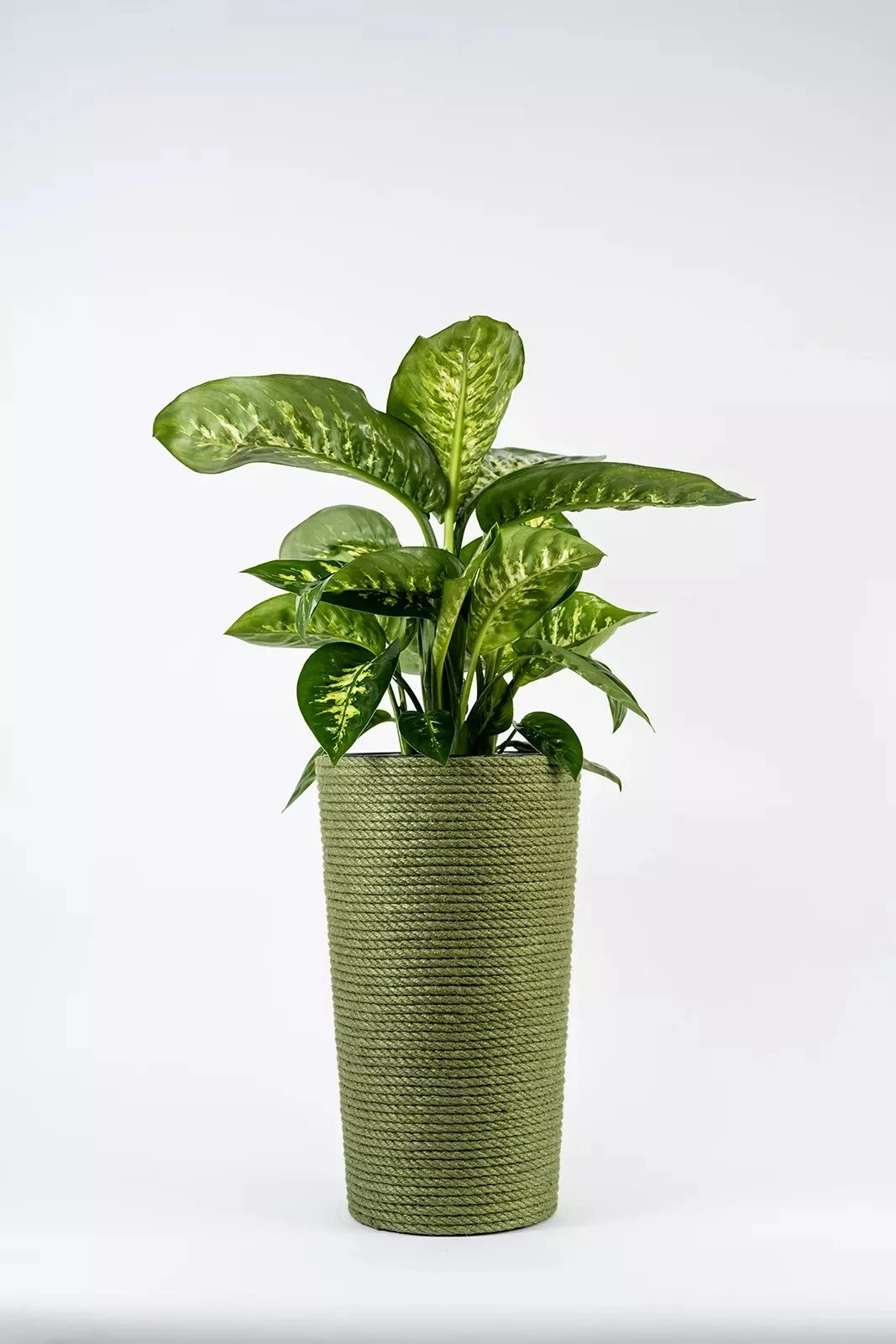 Adoni Green jute flowerpot with insert
