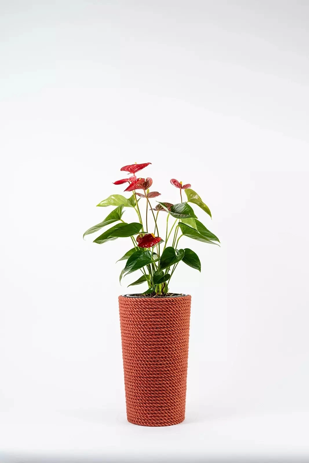 Adoni Red jute flowerpot with insert