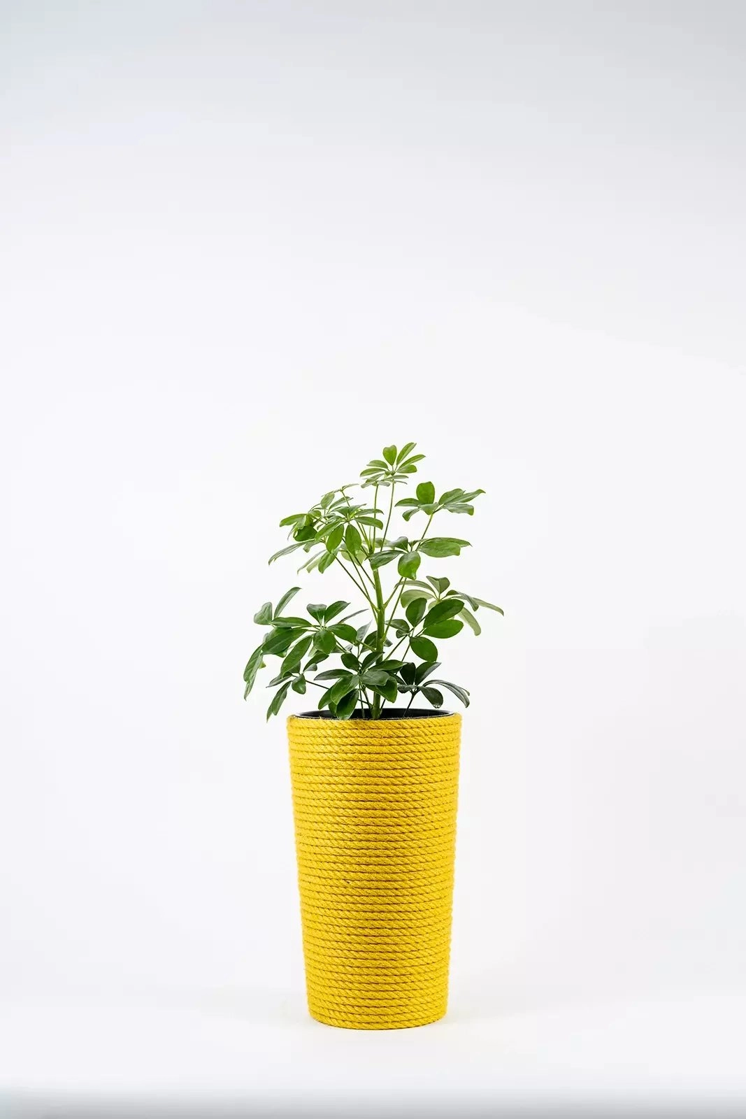 Adoni Yellow jute flowerpot with insert