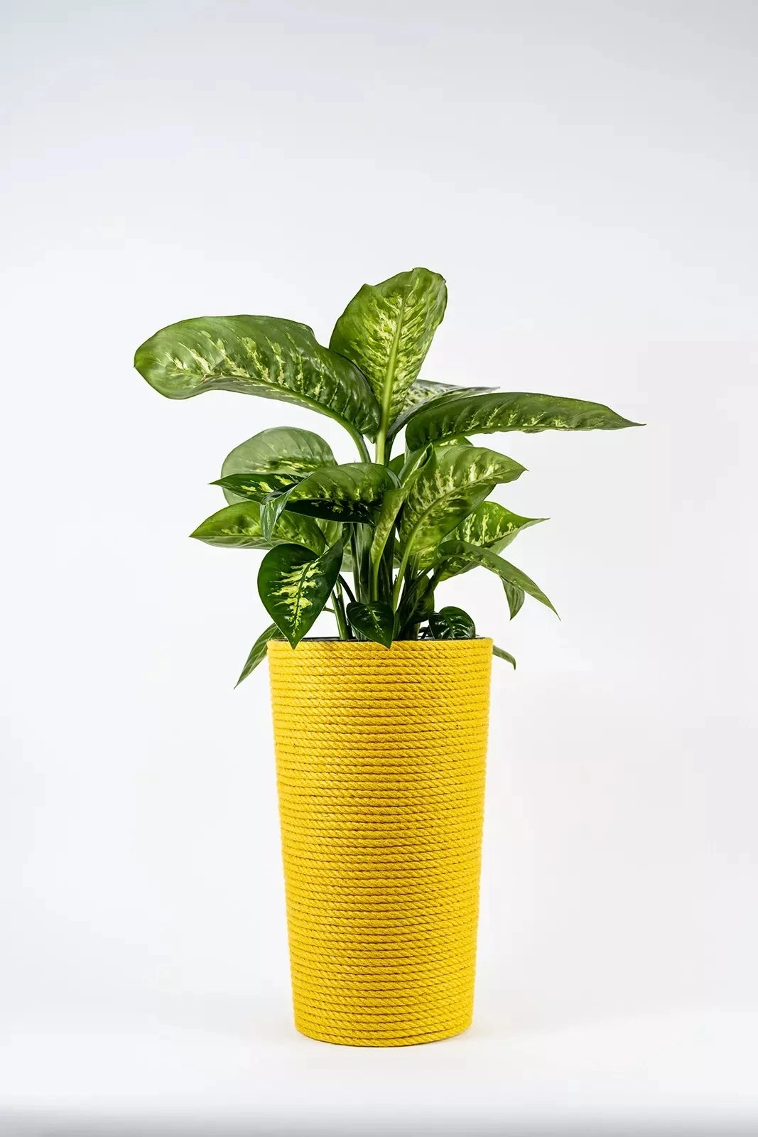 Adoni Yellow jute flowerpot with insert