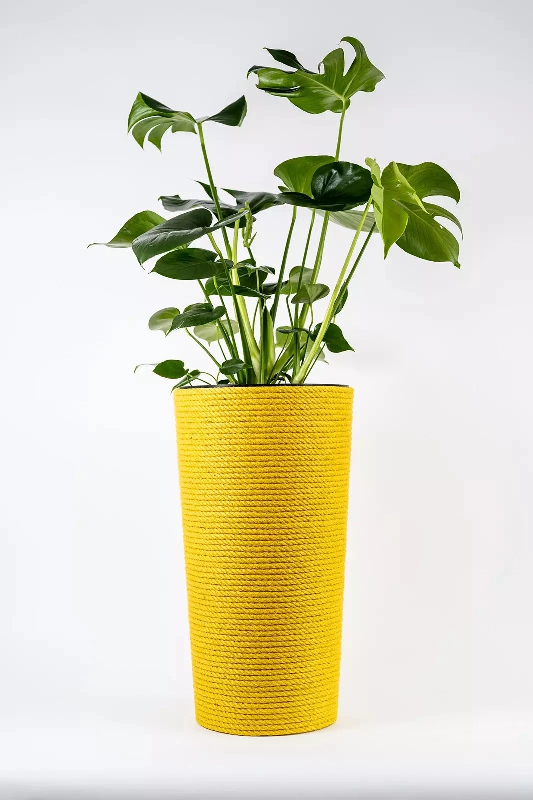 Adoni Yellow jute flowerpot with insert