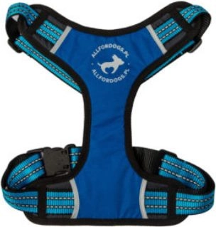 All For Dogs Blue sports suspenders