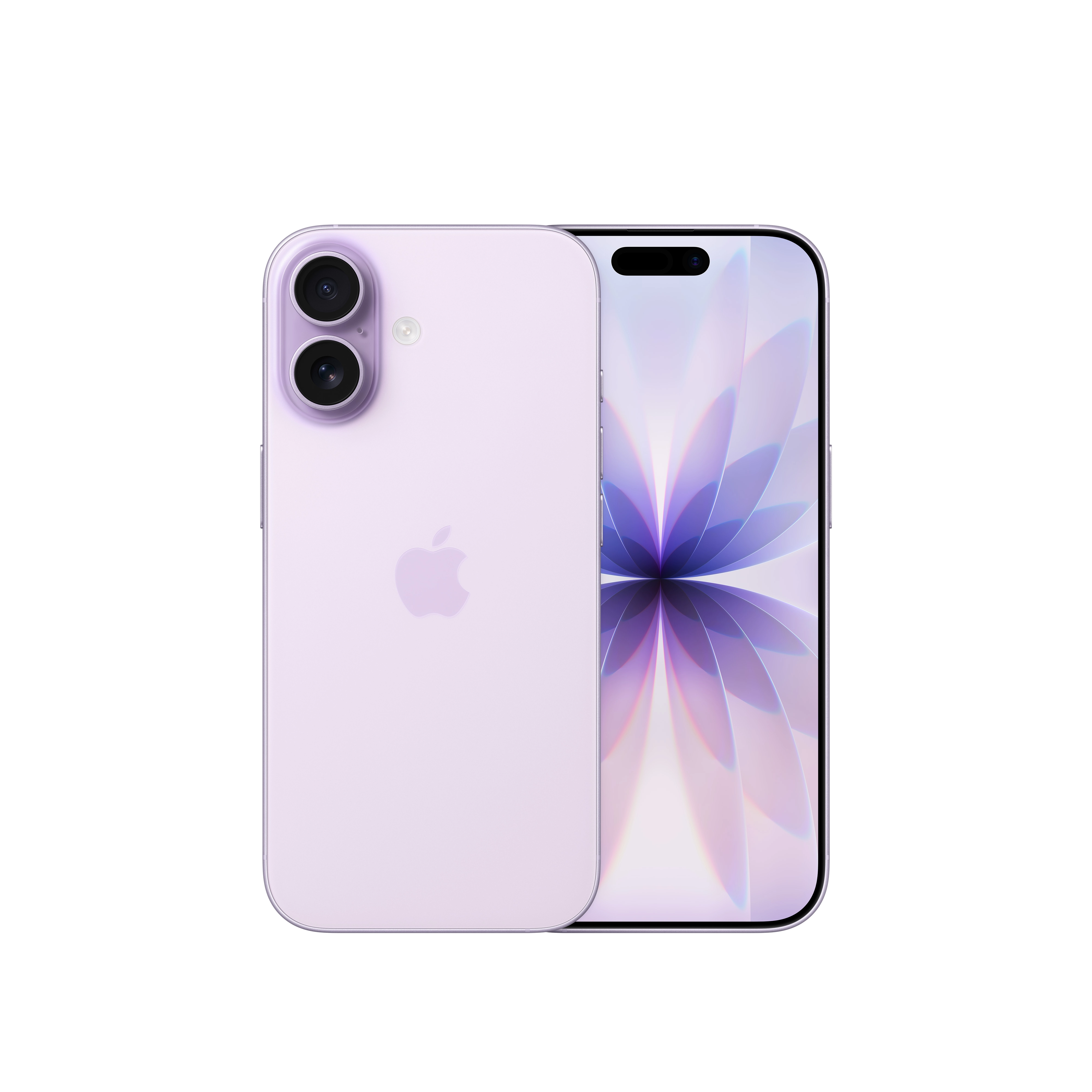 Apple iPhone 17 16 cm (6