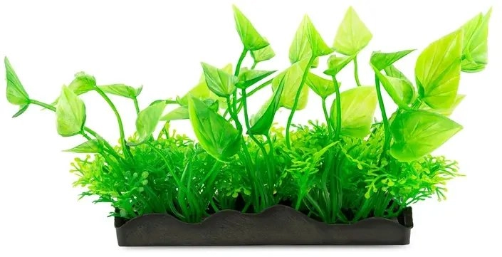Aqua Natura ro�lina do dekoracji akwarium