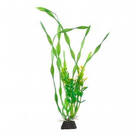 Aqua Natura plant for aquarium decoration