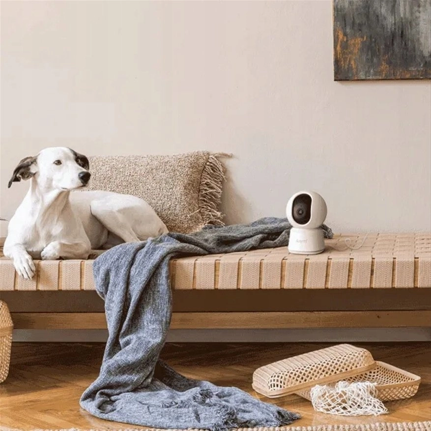 Arenti Indoor 5G Wi-Fi UHD 3K/5MP