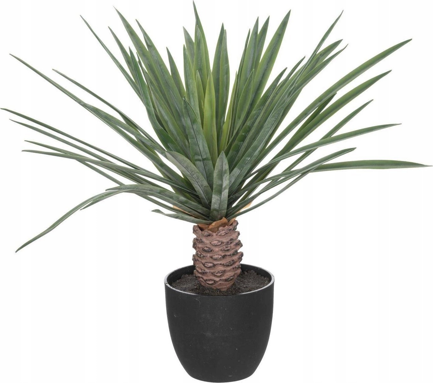Atmosphera Artificial palm tree in a