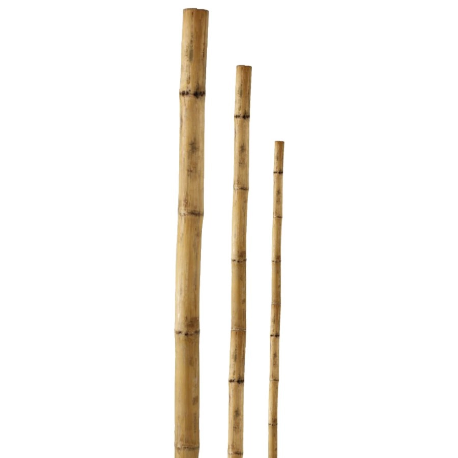 Mietiņš bambusa 240cm 1gb 9055809 4750959055809