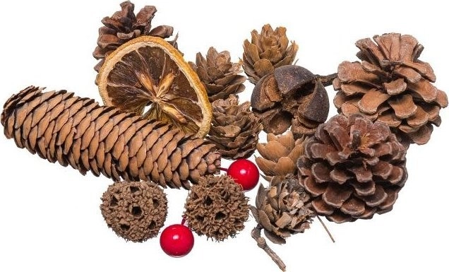 Christmas decoration BREWIS Decorative dried 30~40g