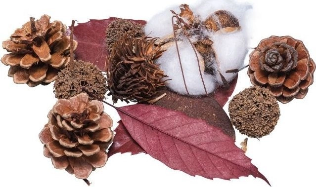 Christmas decoration BREWIS Decorative dried 30~40g
