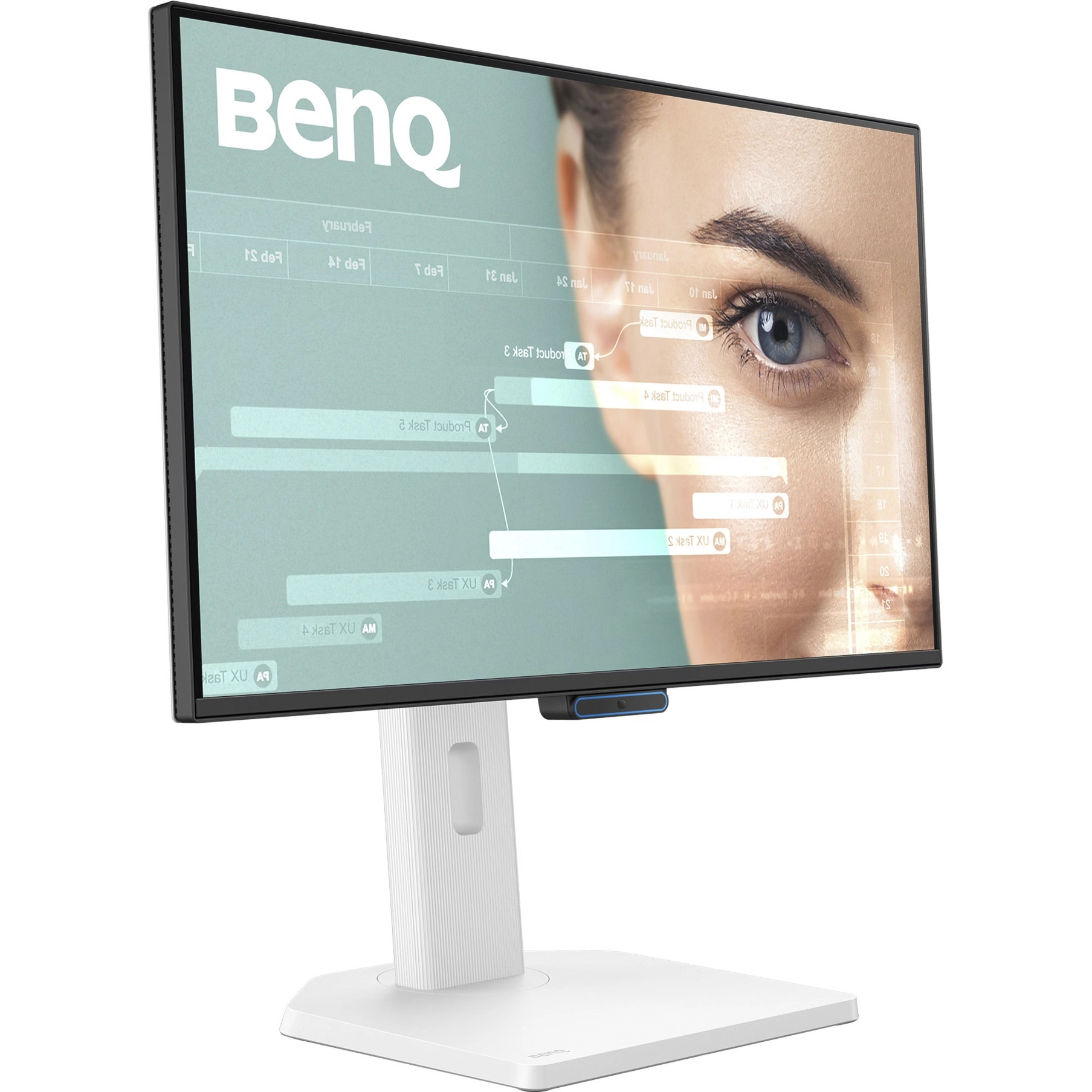 Monitorius BENQ GW2490TC 24inch IPS 1920x1080