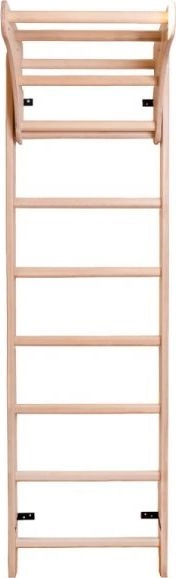 BenchK Gymnastic ladder 220x64cm 260784-uniw 5903317830153