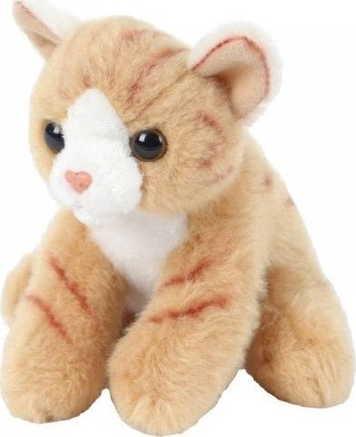 Beppe Mascot Sitting Red Cat 13