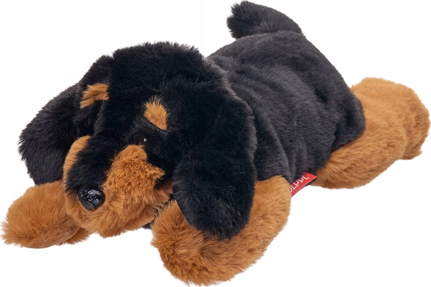 Beppe Mascot Dog Dachshund lying 35