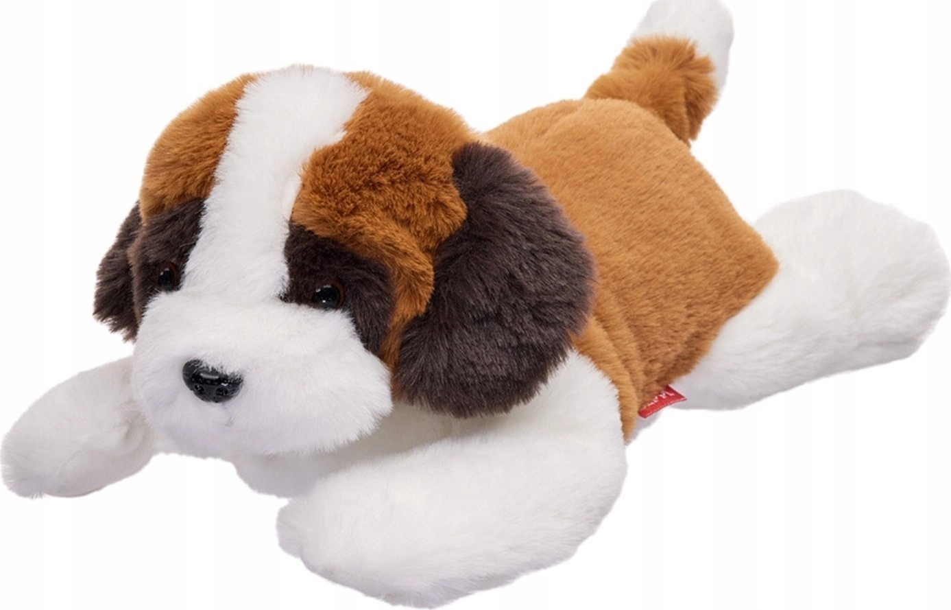 Beppe Mascot Saint Bernard dog lying