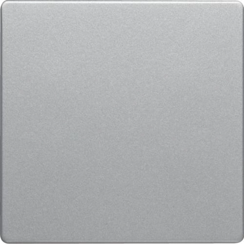 Berker Key for 1-key switch Q