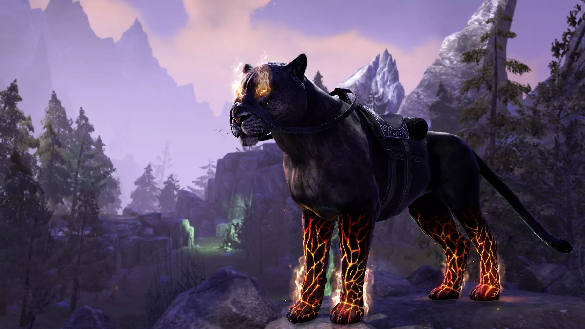 Bethesda The Elder Scrolls Online :