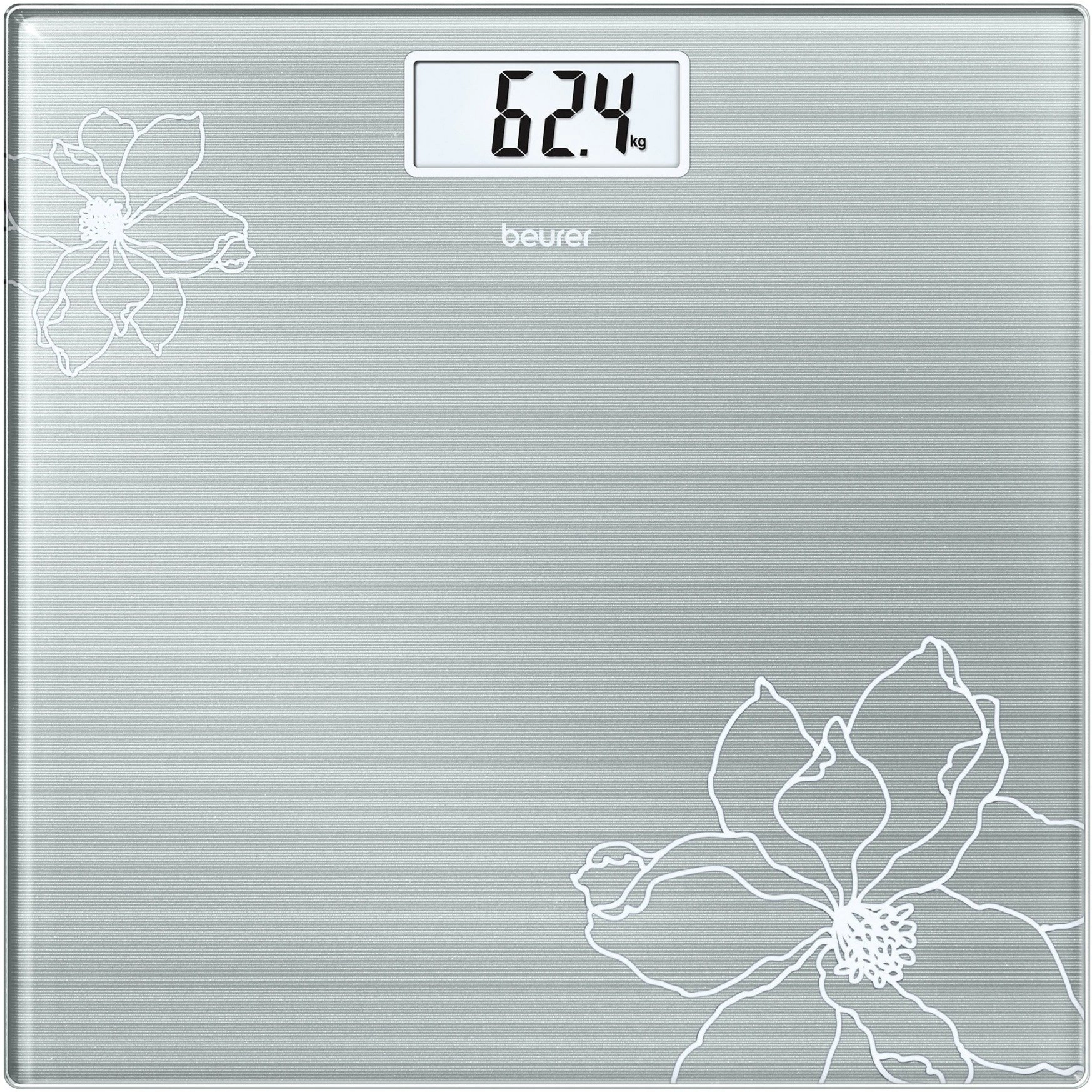 Beurer GS 10 (silver) 756.30