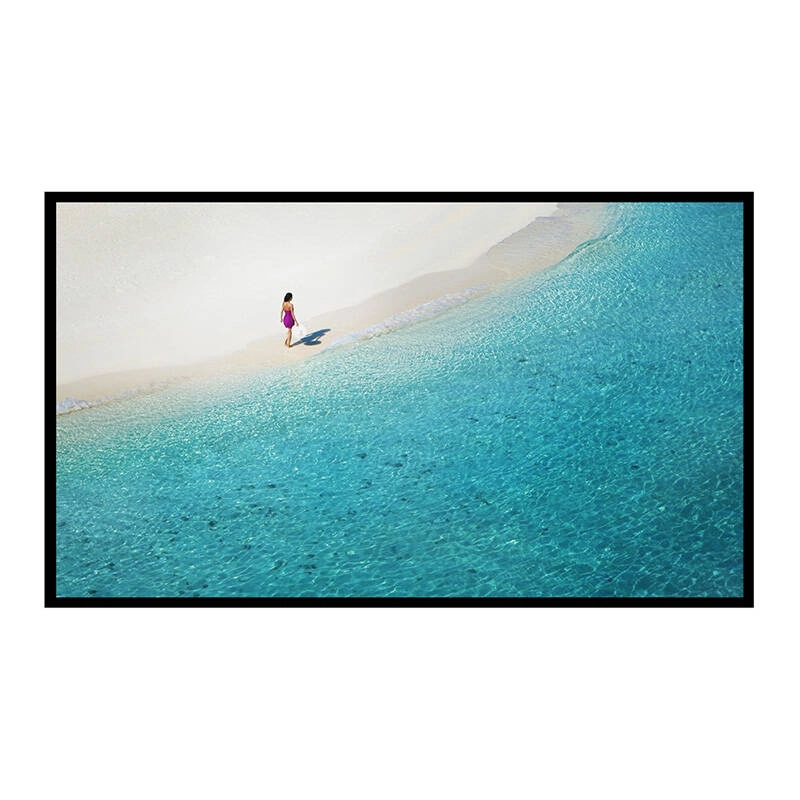 Blitzwolf projector screen BlitzWolf BW-VS4 120``