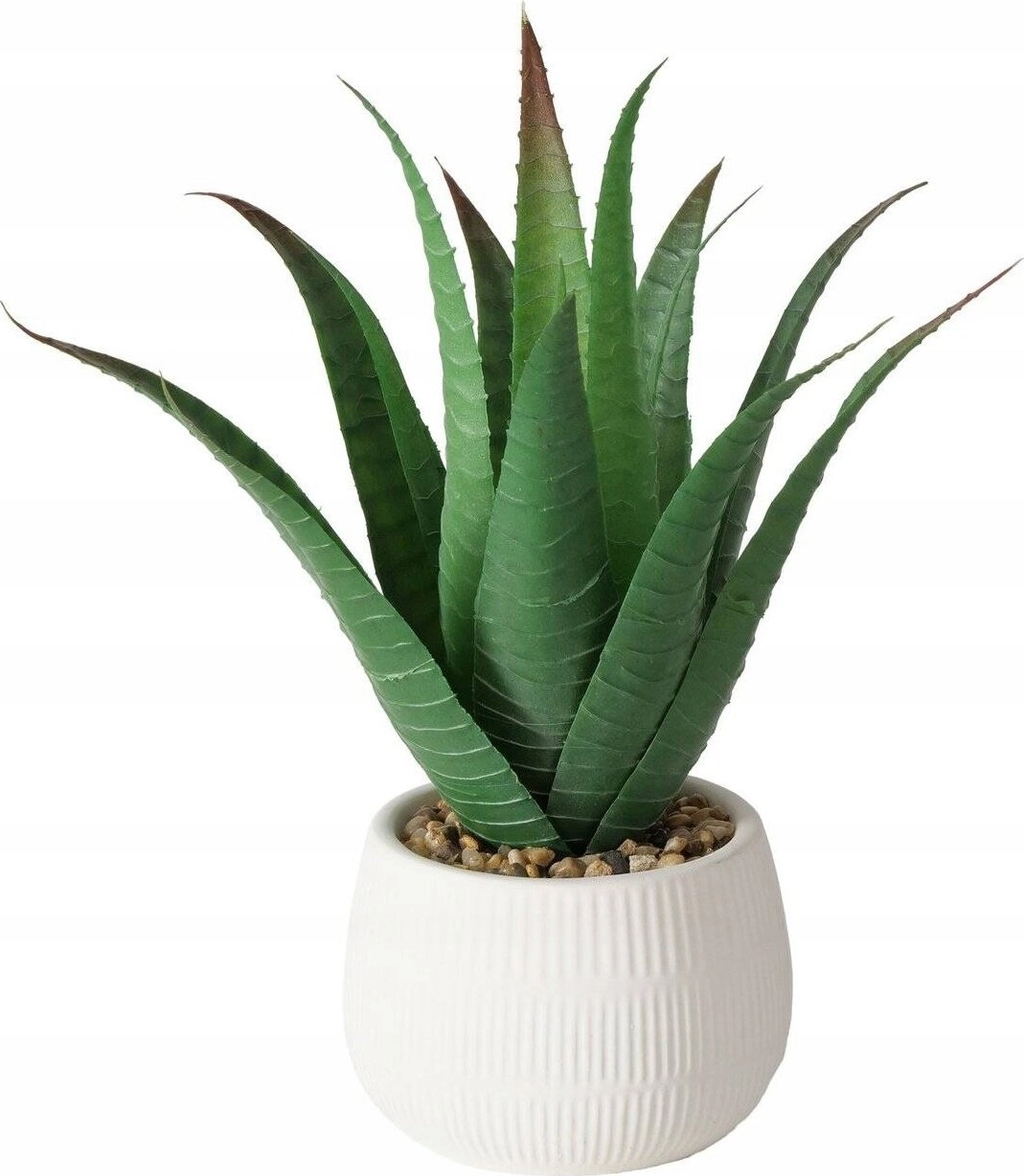 Boltze Artificial aloe plant in MONDRAGO