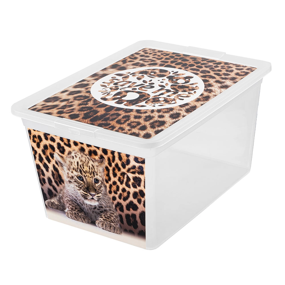 Uzglabāšanas kaste 30L X box deco