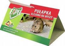 Bros PUŁAPKA KLEJOWA NA MYSZY EXPEL