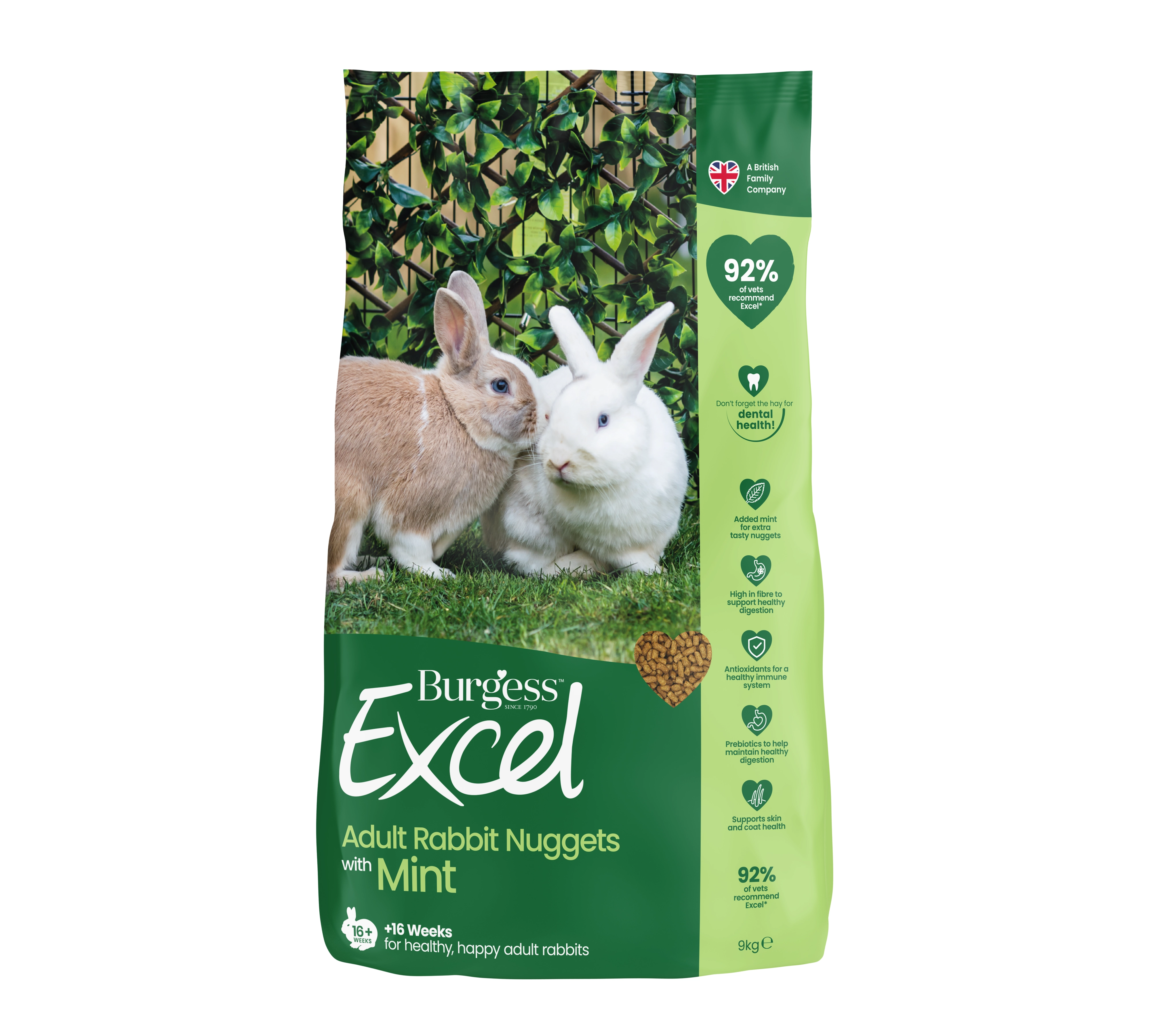 Burgess - Excel Adult Rabbit Nuggets
