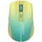 MW-44 Yellow/Blue
