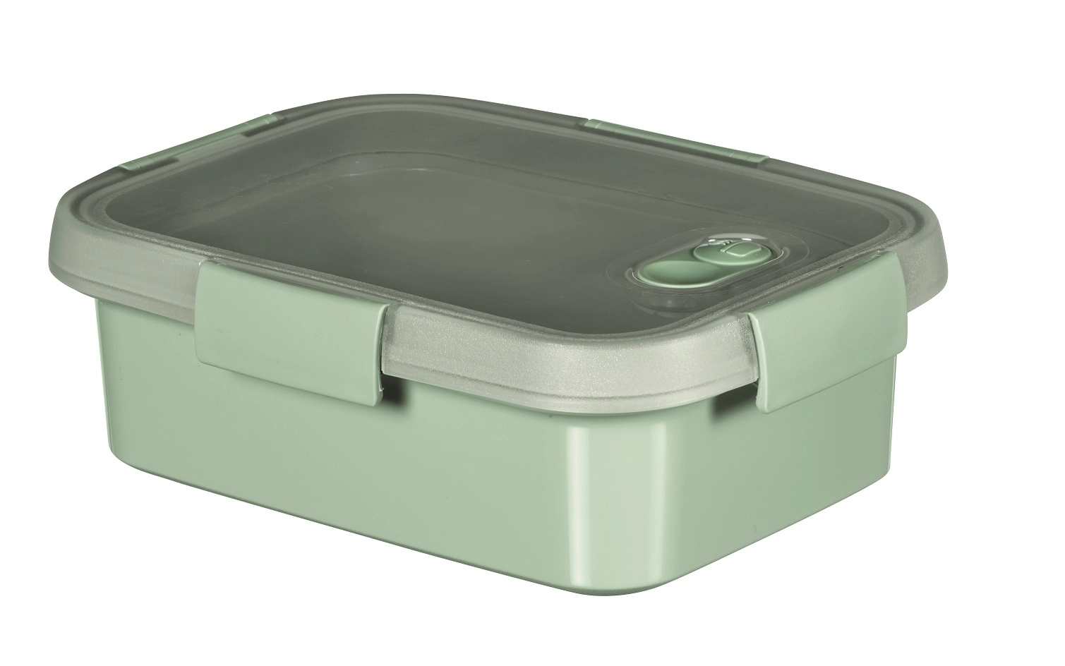 Curver 0800946Q19 Food container 1L 20x15x7cm