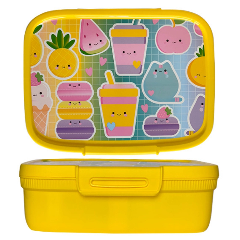 Food storage container rectangular with divider