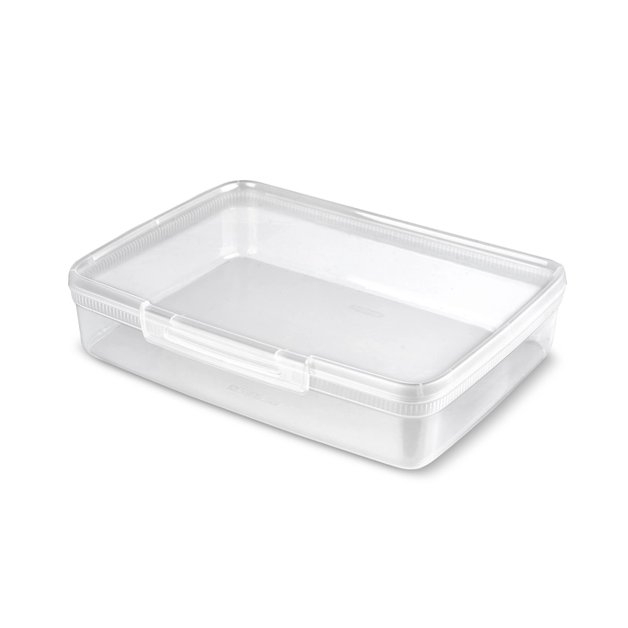 Curver Rectangular food container Snap Box