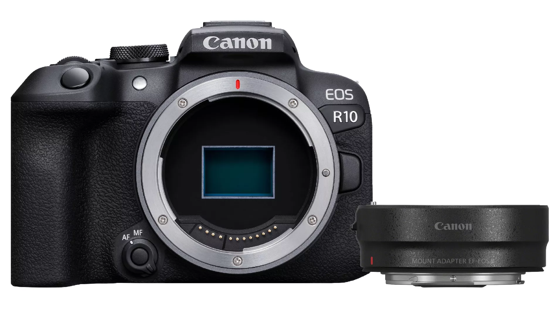 Canon EOS R10+ EF- R MILC