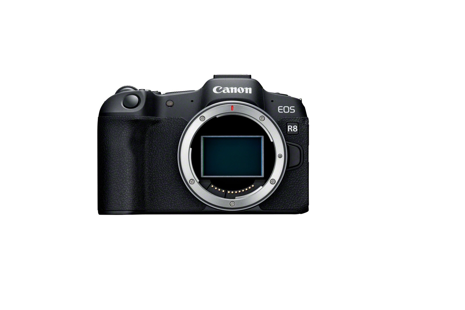 Canon EOS R8 + RF 24-50mm