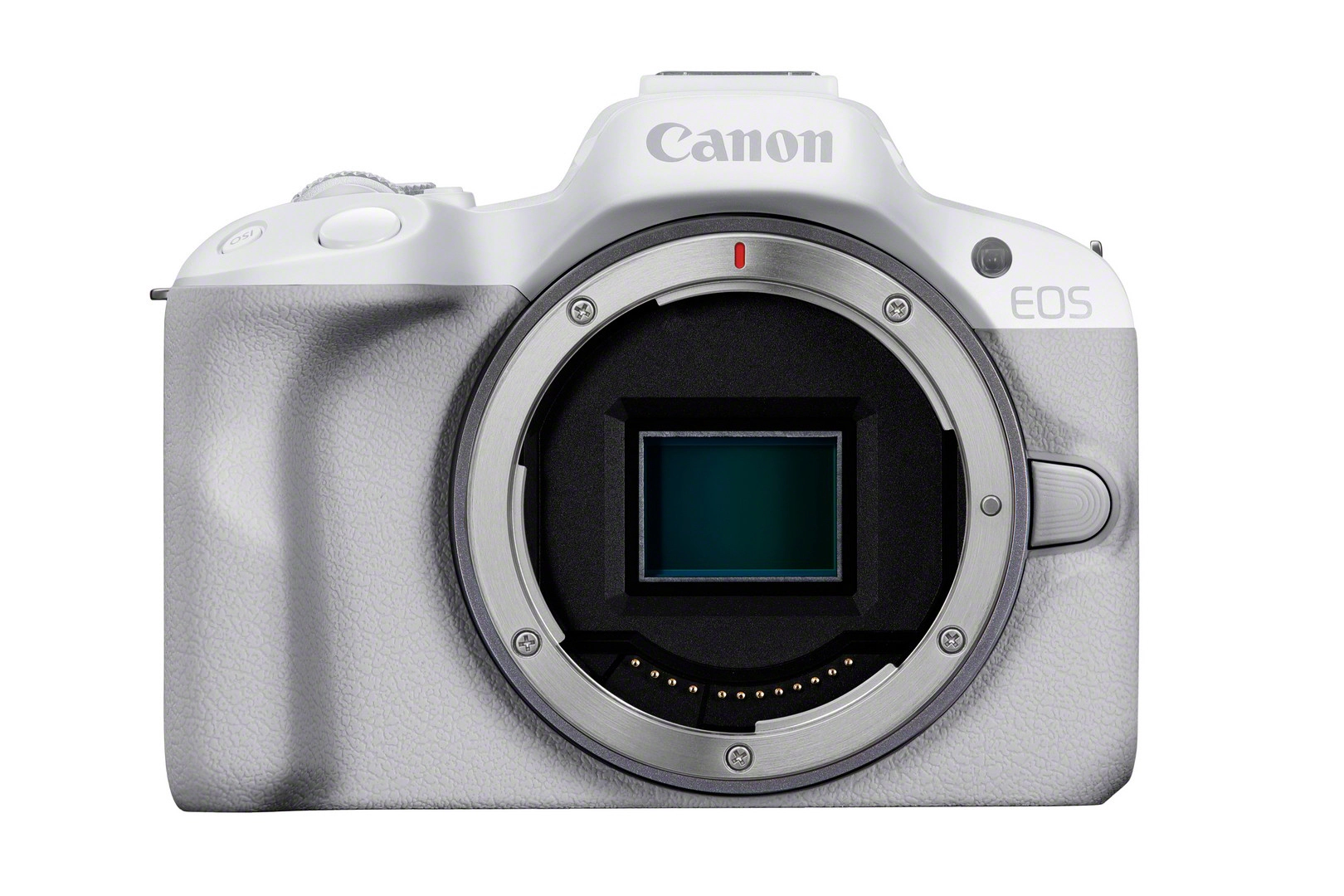 Canon EOS R50  White + RF-S